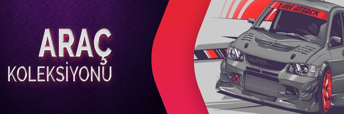 Direniş Koleksiyonu